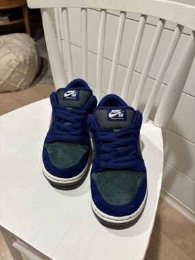 Nike Dunk Low Pro SB (never worn!)